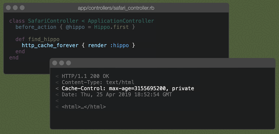 Railsコントローラのアクションで`http_cache_forever { render :hippo }`を書くと図のような`Cache-Control`ヘッダーが出力される。