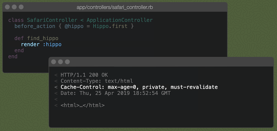 Railsコントローラのアクションで単に`render :hippo`と書くと、Cache-Controlヘッダーは図のようになる。
