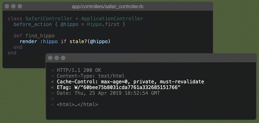 [Railsコントローラのアクションに`render :hippo if stale?(@hippo)`を書くと、図のようなCache-Controlヘッダーが生成される。