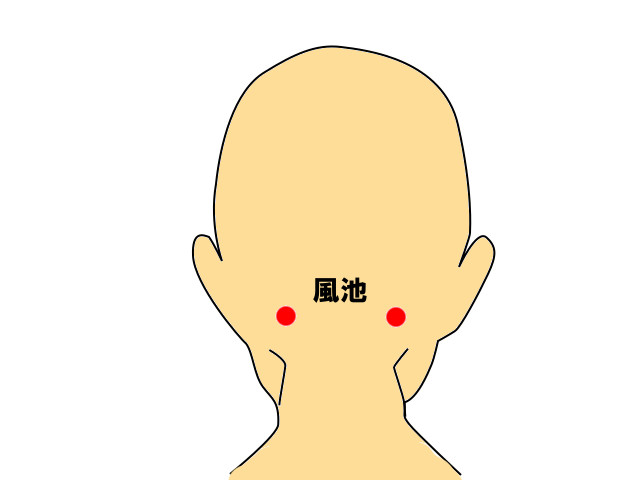 ツボ 風池